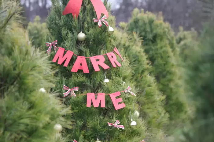 Cliche or Charming: Should You Propose on Christmas?